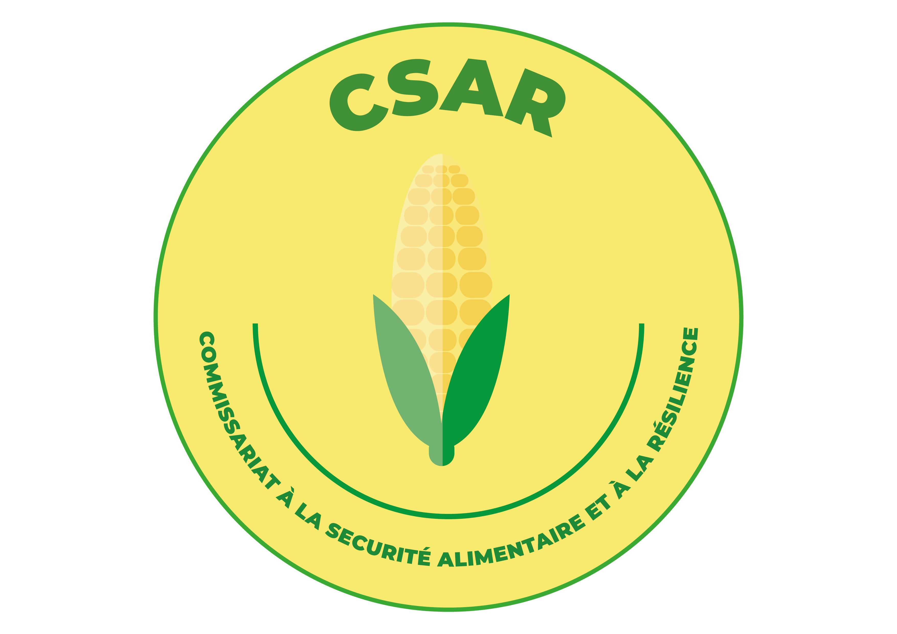 Logo CSAR